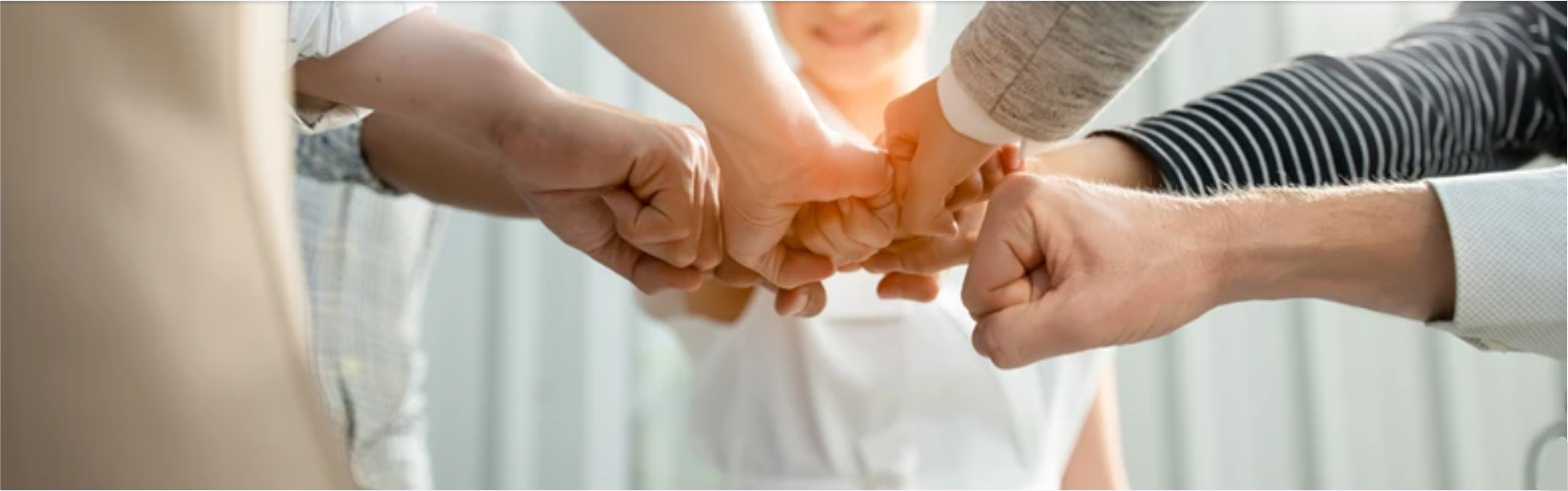 Vision Mission Values Banner